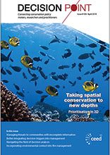 DecisionPoint105 cover 