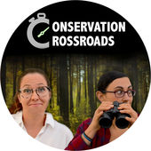 ConservationCrossroads avatar