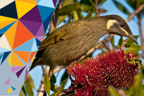 Victoria fellowship banner