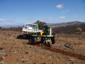 recological restoration article