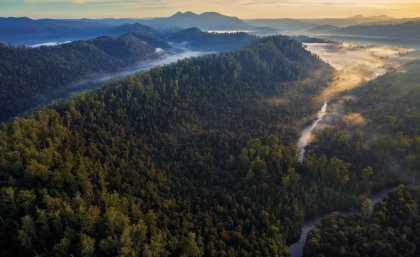 SCI crowdfunding Tarkine compressed