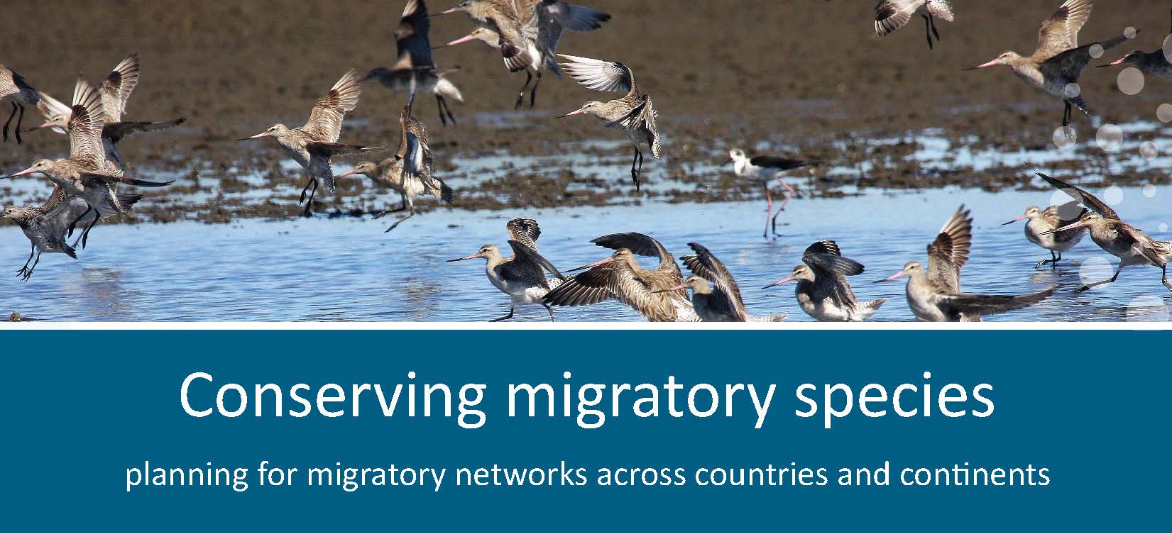 2016 05 10 DBrief 4 Conserving Migratory Web Image