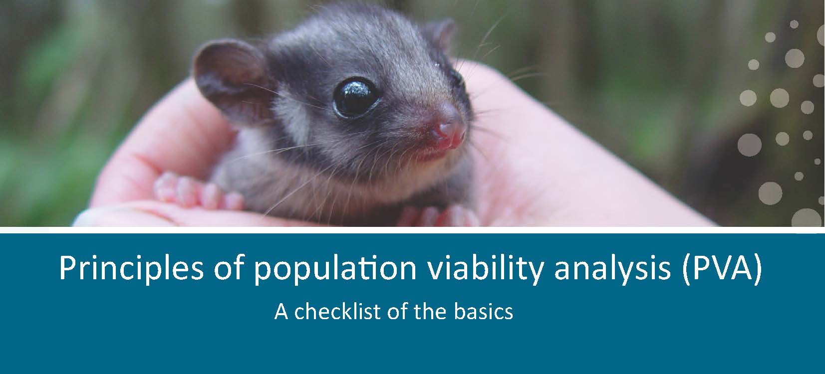 CEED DBrief 3 3 PVA web image