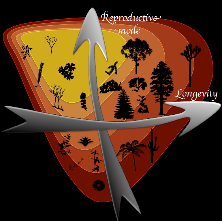 fast slow contineuum