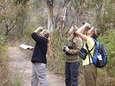 Ayesha P1010820 230px