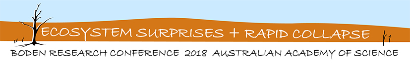 CONFERENCE LOGO banner A4 wide