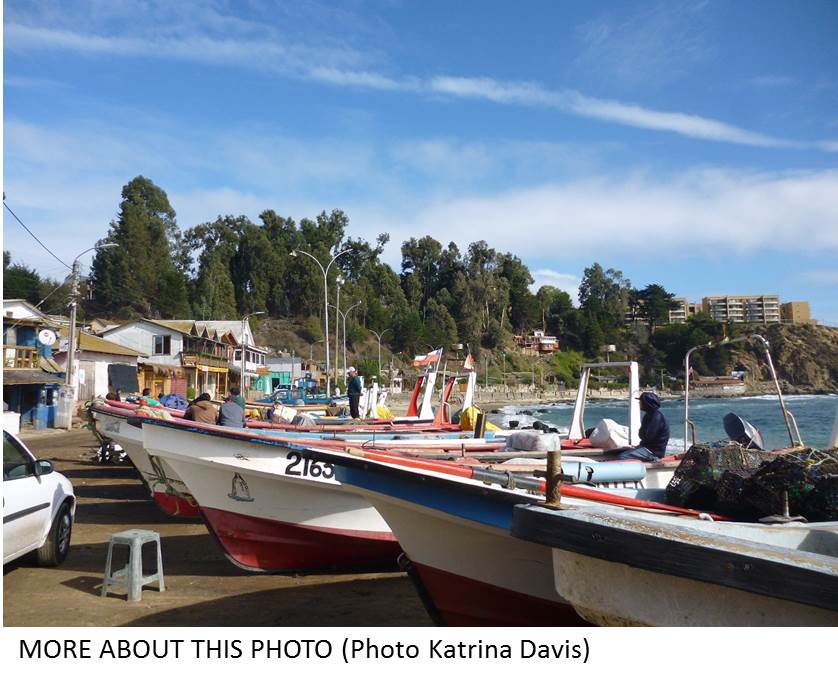 Chile fishing boats brief