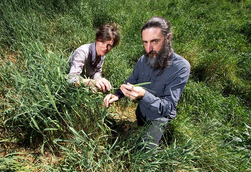 Perversity in the pasture