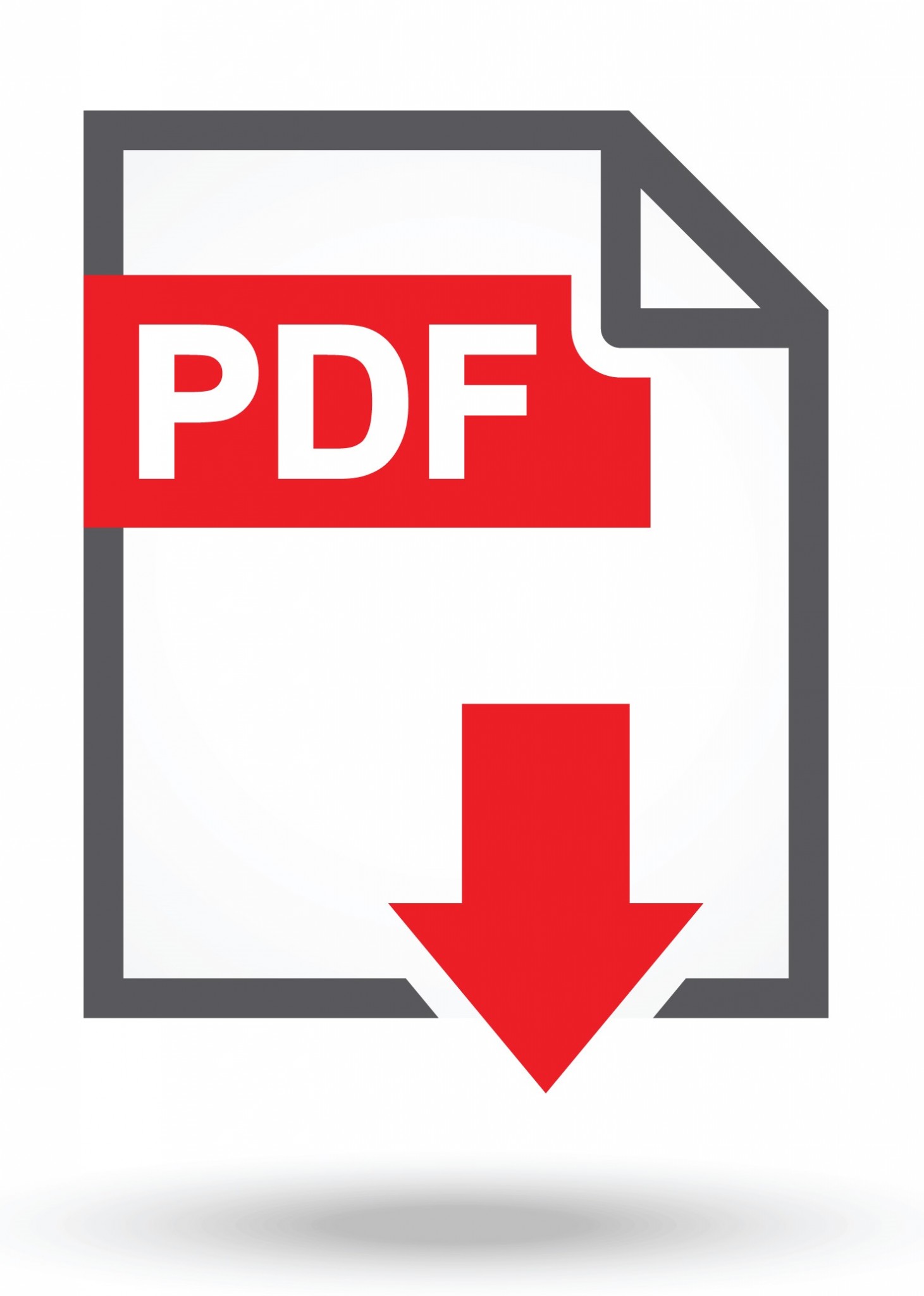 PDF icon