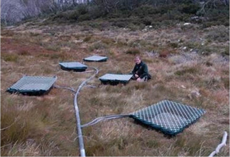 chytrid fungi highlight brief