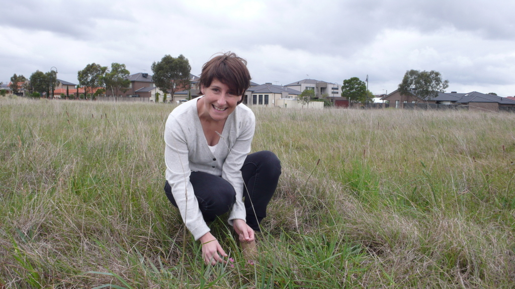 georgia centralck full