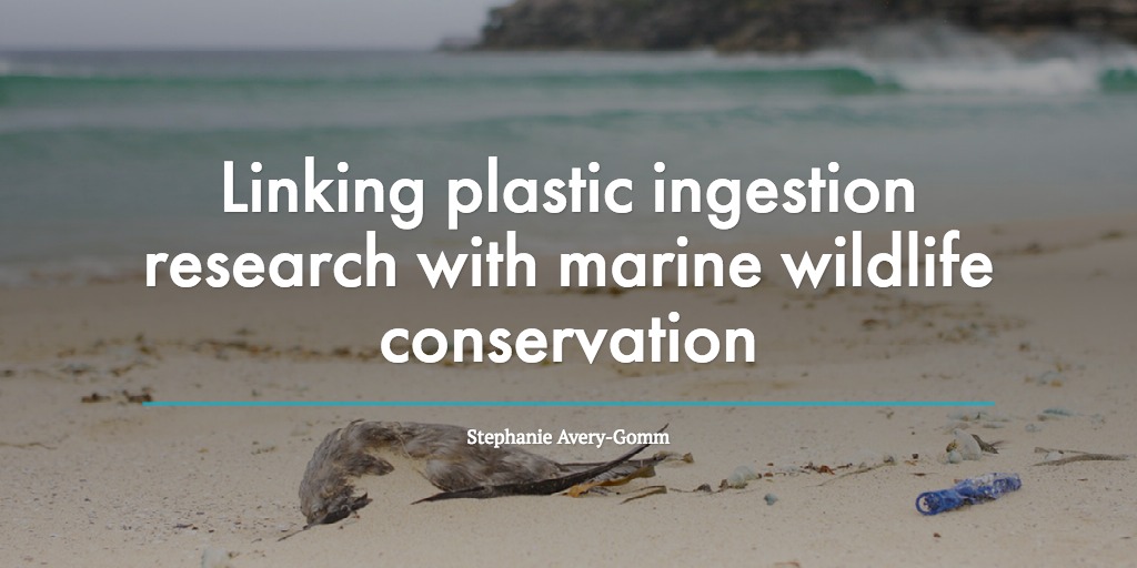 Linking plastic ingestion research with marine wildlife conservation