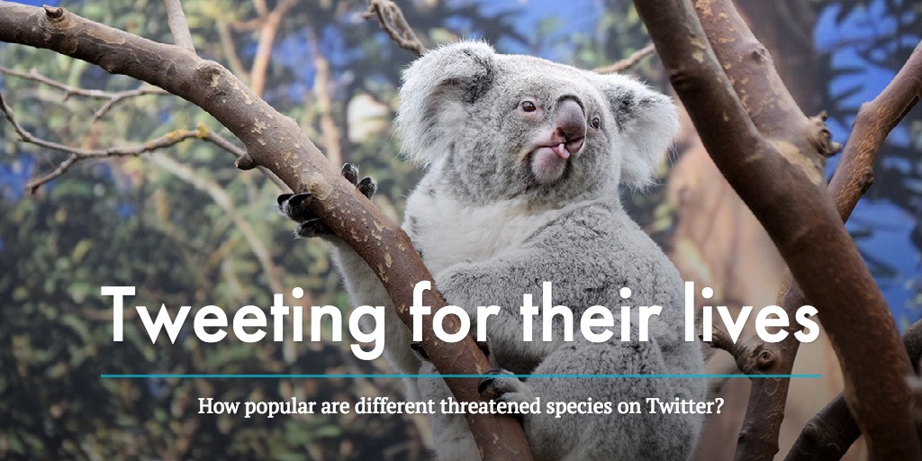 Tweeting for their lives