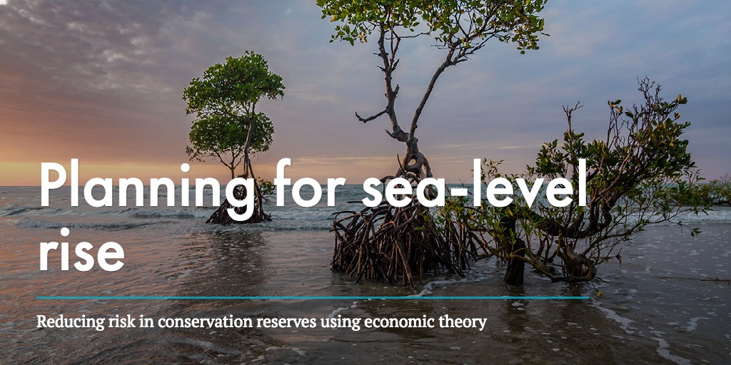 Planning for sea-level rise