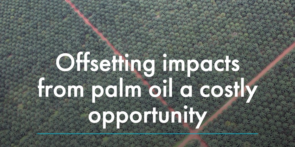 Offsetting impacts from palm oil a costly opportunity