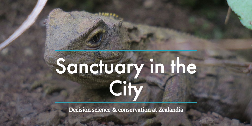 Sanctuary in the City